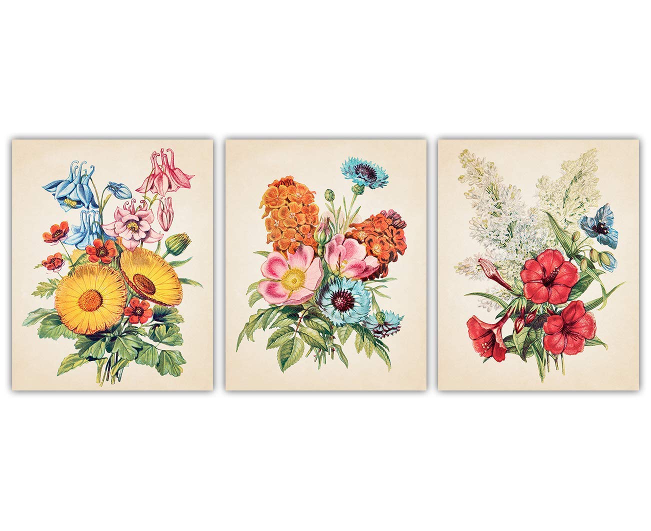 Amazon.com: Vintage Flowers Botanical Wall Art - Give Your Home A